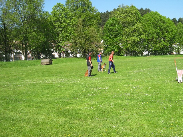 www.atibox.net * www.euroboxer.eu * www.boxergenealogia.eu